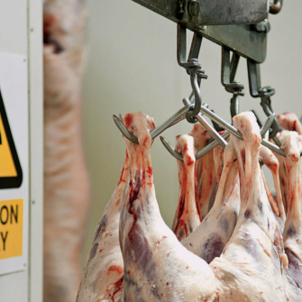 Transforming the red meat industry