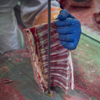 Why Body Sensing is Essential for Band Saw Safety Hero